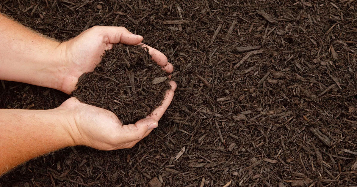 How to Choose the Best Mulch for Your Landscape