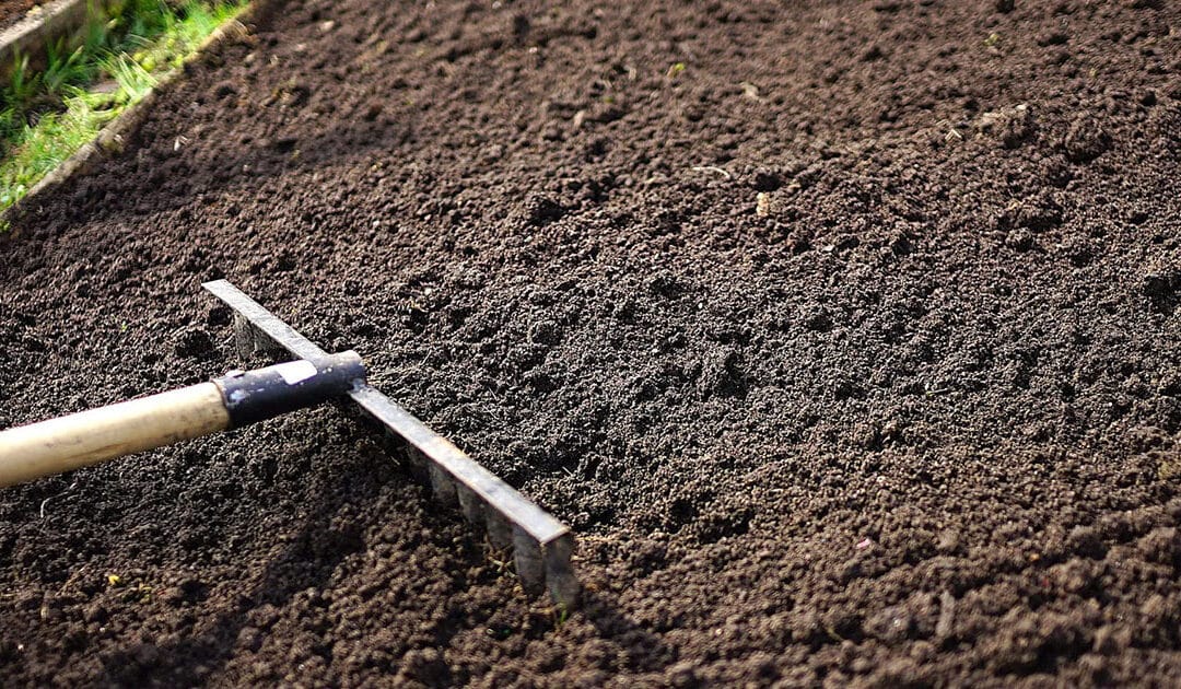 Topsoil: Here’s What You Need to Know