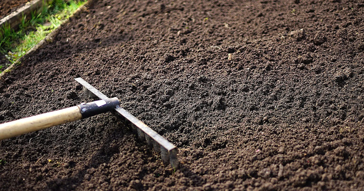 Topsoil: Here’s What You Need to Know