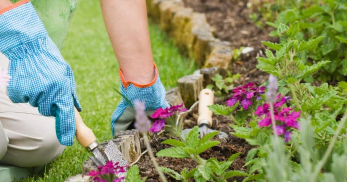 5 Benefits of Fresh Mulch and Landscaping 